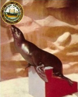 NH Seal act